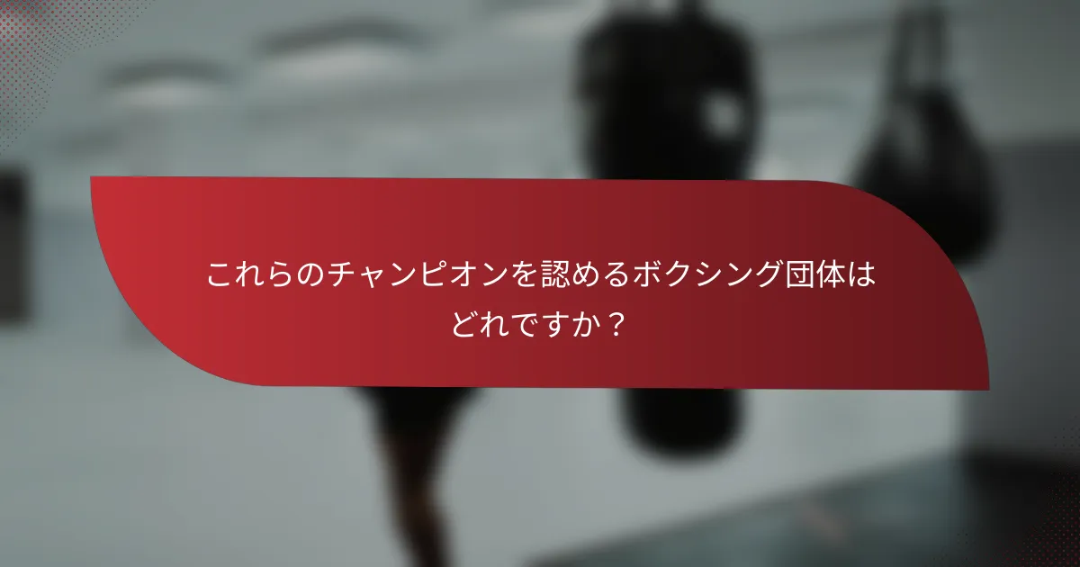 これらのチャンピオンを認めるボクシング団体はどれですか?