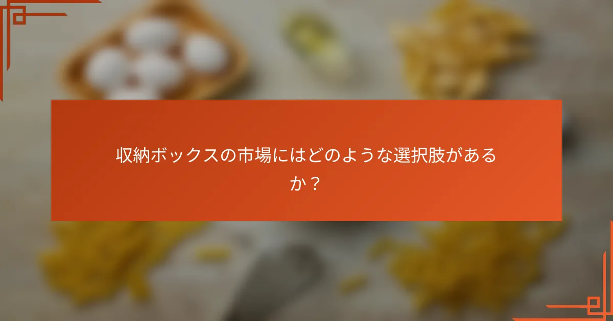 収納ボックスの市場にはどのような選択肢があるか？